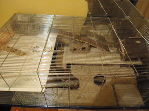 DSC00977.JPG DSC00977.JPG