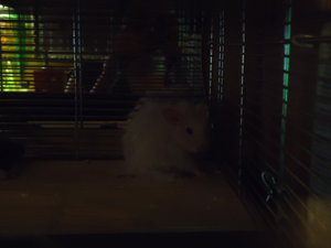 DSC00966.JPG DSC00966.JPG