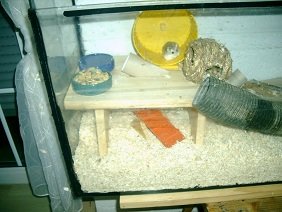 neu (2)  ganz neu.jpg