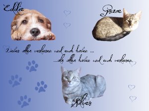 Eddie, Silver&FǴrace collageeee.jpg Eddie, Silver&FǴrace collageeee.jpg