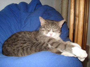 K640_DSC01534 Mimi.JPG