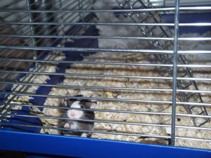 DSCF0236.JPG DSCF0236.JPG