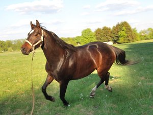 DSC_2850.JPG DSC_2850.JPG