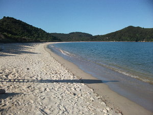 AT Coastal Track.jpg