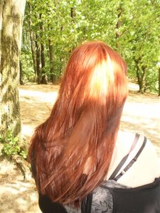 P5076628 (Small).JPG