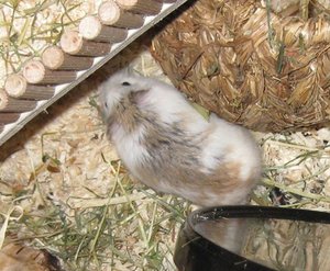 rücken.JPG rücken.JPG