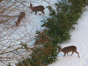 P1000054.JPG P1000054.JPG