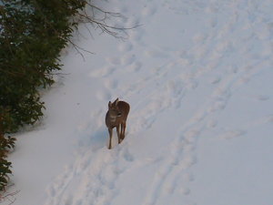 P1000051.JPG P1000051.JPG