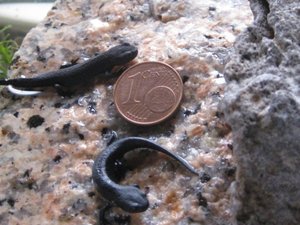 IMG_5975.JPG IMG_5975.JPG