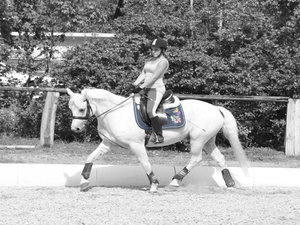 Bearbeitet Crunchy.jpg