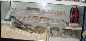 komplett verkleinert.jpg