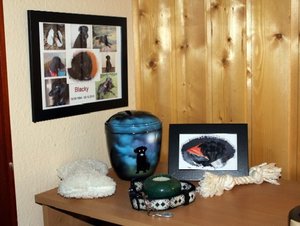 IMG_0193.JPG IMG_0193.JPG