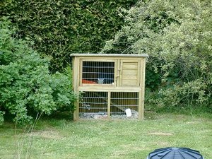 neuer hamsterkÃ¤fig von sepp.jpg