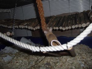 DSCF0213.JPG DSCF0213.JPG