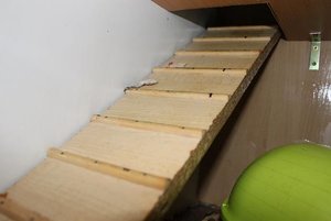 IMG_0100.JPG IMG_0100.JPG