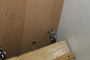 IMG_0101.JPG IMG_0101.JPG