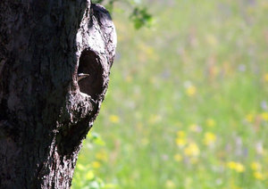 Start ins Unbekannte.JPG