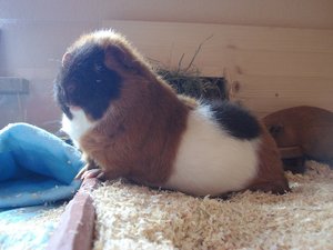 Jeany beim Posen.jpg Jeany beim Posen.jpg