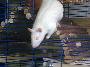 Fotos 169.jpg Fotos 169.jpg