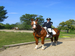 qKopie.jpg qKopie.jpg