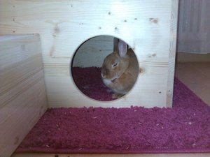 ME zu HauseEmely.jpg