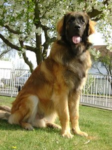 DSC01539.JPG DSC01539.JPG