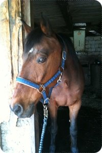 Liebling=)021.JPG Liebling=)021.JPG