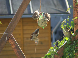 DSC02683.jpg DSC02683.jpg