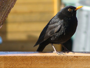 DSC01761.jpg DSC01761.jpg