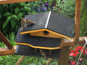 DSC02218.jpg DSC02218.jpg