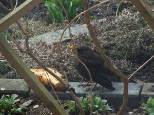 DSC01781.jpg DSC01781.jpg