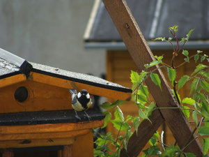 DSC02274.jpg DSC02274.jpg