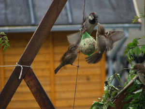 DSC02536.jpg DSC02536.jpg