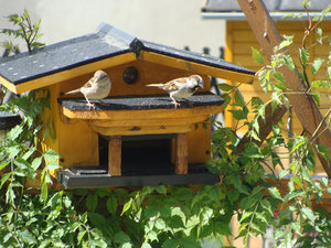 DSC02378.jpg DSC02378.jpg