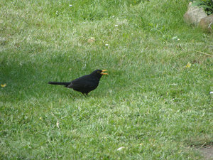 DSC02368.jpg DSC02368.jpg