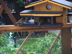 DSC02441.jpg DSC02441.jpg