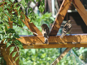 DSC02381.jpg DSC02381.jpg