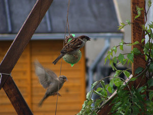 DSC02559.jpg DSC02559.jpg