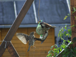 DSC02666.jpg DSC02666.jpg