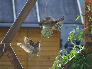 DSC02676.jpg DSC02676.jpg