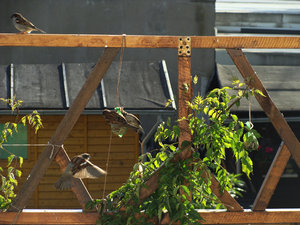 DSC02632.jpg DSC02632.jpg