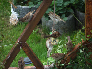 DSC02800.jpg DSC02800.jpg