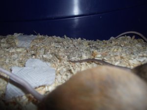 DSCF0476.JPG DSCF0476.JPG