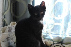 Richie3.JPG Richie3.JPG