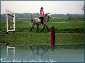 Tequilla caniere bea.jpg