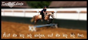 Tequilla caliente  be..jpg