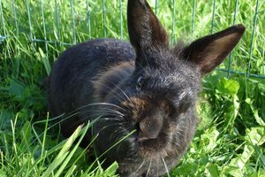 193 - Kopie - Kopie.JPG