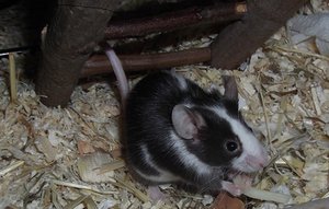 DSCF0373.JPG DSCF0373.JPG