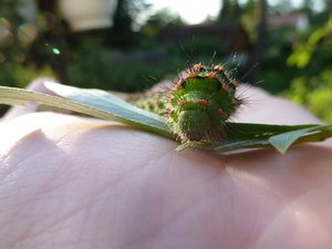 P1000489.jpg P1000489.jpg