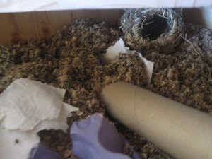 IMG_2393.jpg IMG_2393.jpg